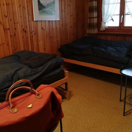 Casa Steilalva - Grosszuegiges Chalet Fuer Erholsamen Familienurlaub Surrein Buitenkant foto
