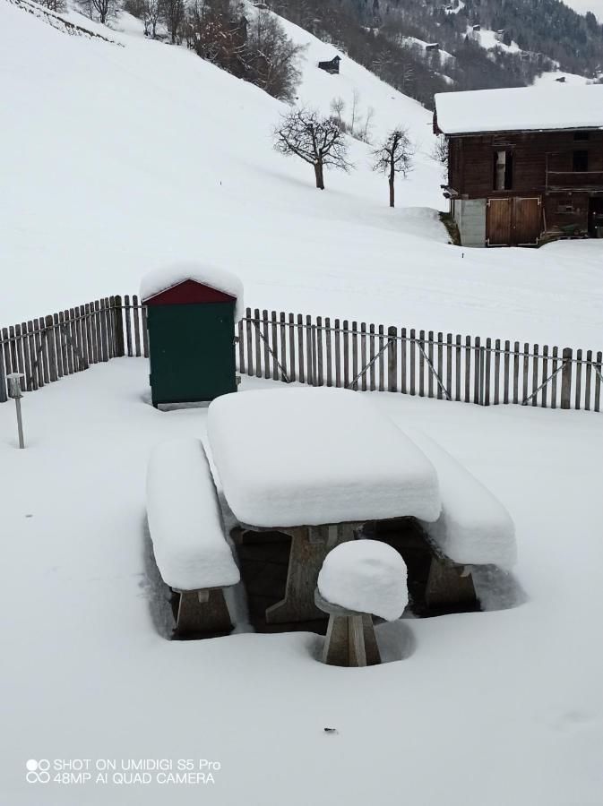 Casa Steilalva - Grosszuegiges Chalet Fuer Erholsamen Familienurlaub Surrein Buitenkant foto