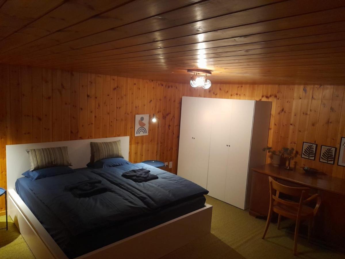 Casa Steilalva - Grosszuegiges Chalet Fuer Erholsamen Familienurlaub Surrein Buitenkant foto